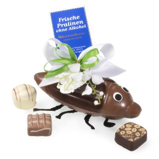 3509 Maikäfer Pralinen O. Alk.