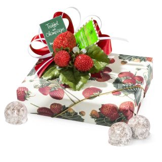3561 Poches Erdbeerpapier TR CH